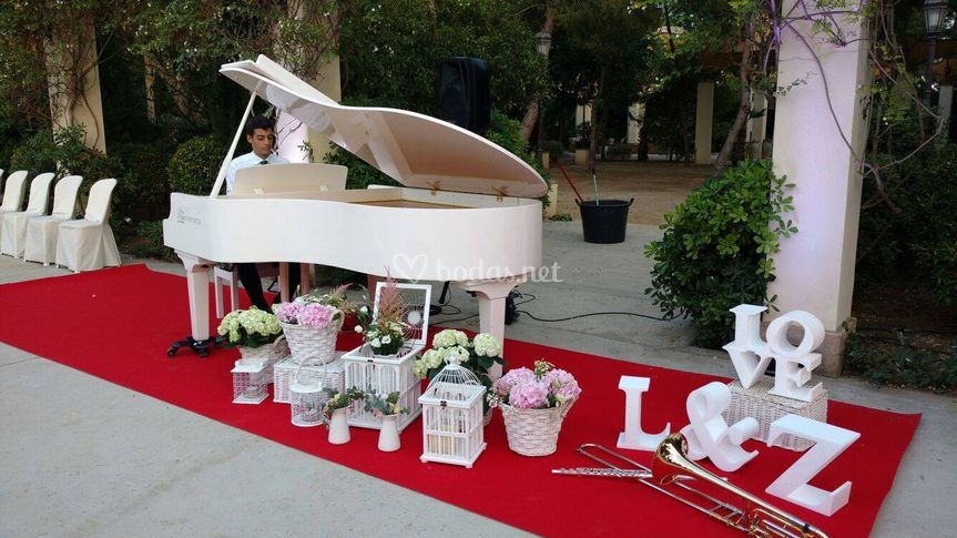Don Polo Eventos