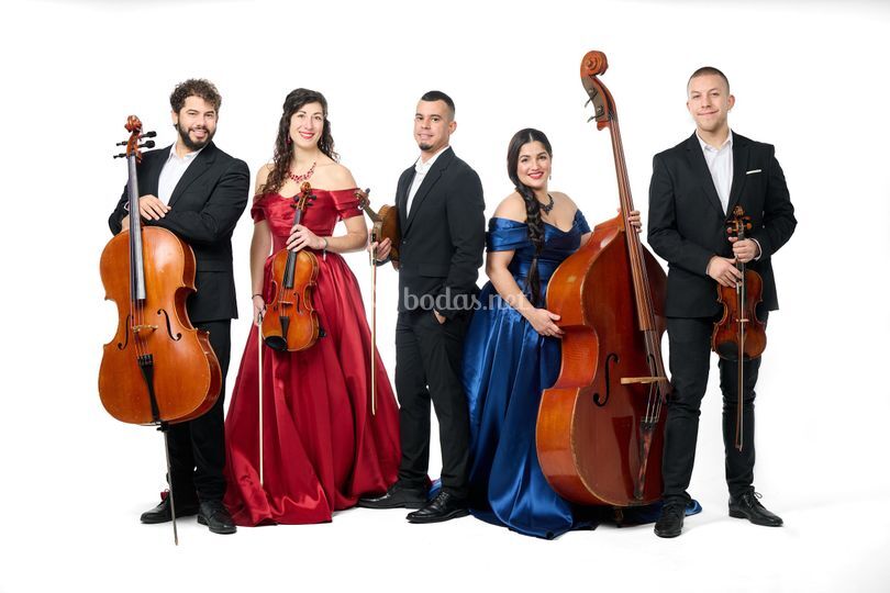 Sociedad de Cámara