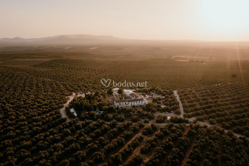 Hacienda Molino Blanco