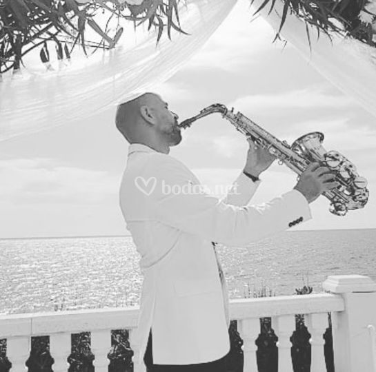 Saxo Rudolf