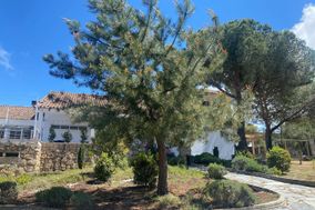 Las Terrazas de Pino Alto