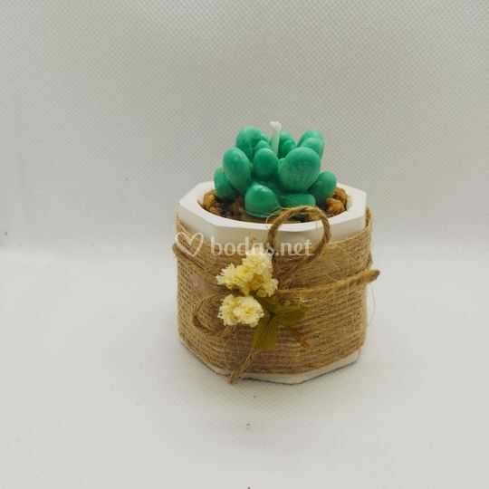 Mi Divino Tesoro