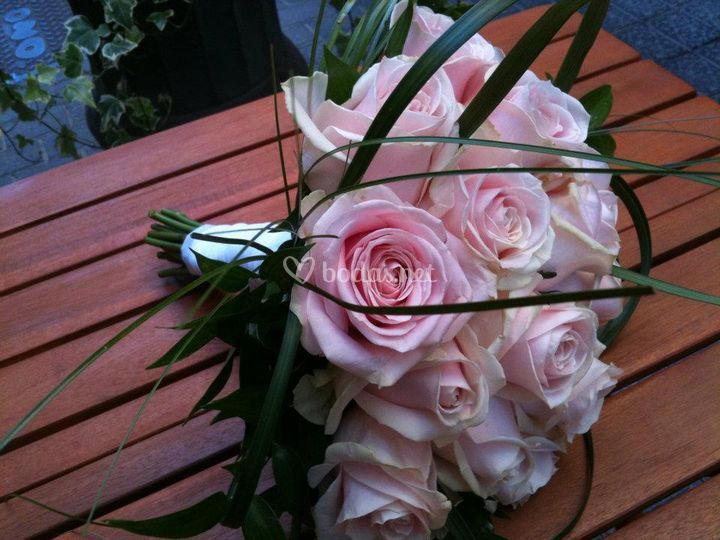 Flores Borneo