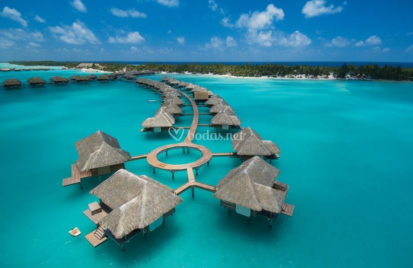 Nextiny Tours