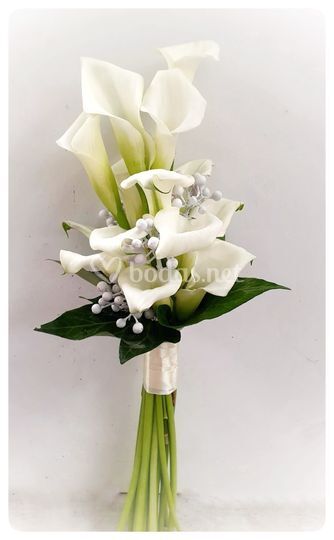 Flor de Lyc