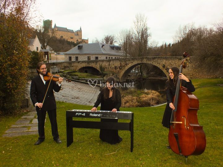Música Tempus