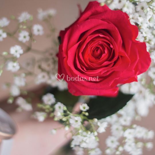 Floristería Martínez