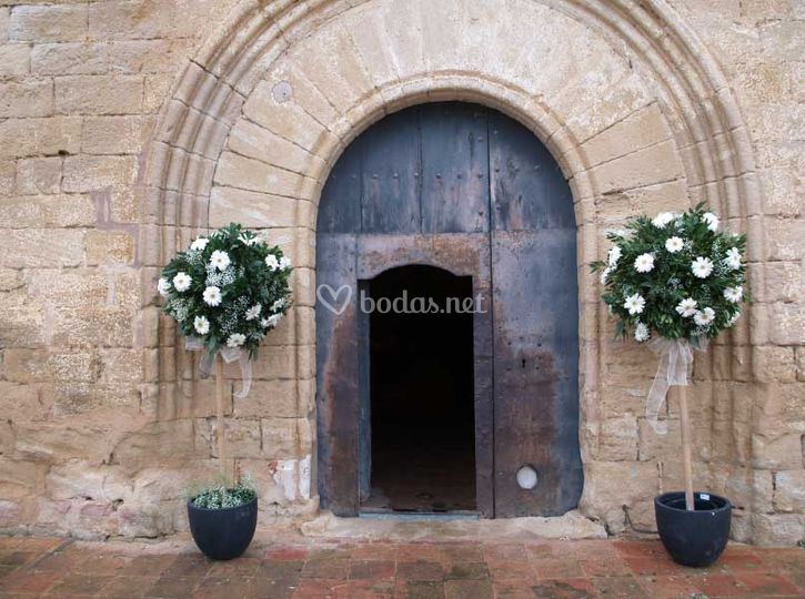 Això Terrissa i Flors