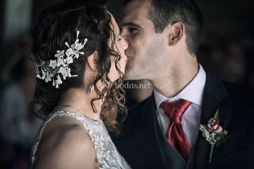 Zinnia Bodas