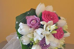 Amarilis Arte y Diseño