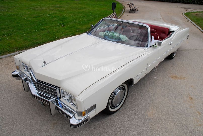 Miss Cadillac
