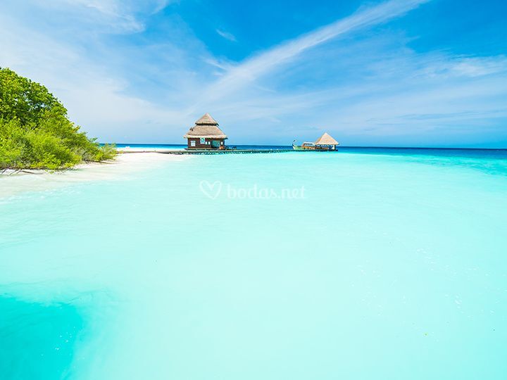 Directia Travel