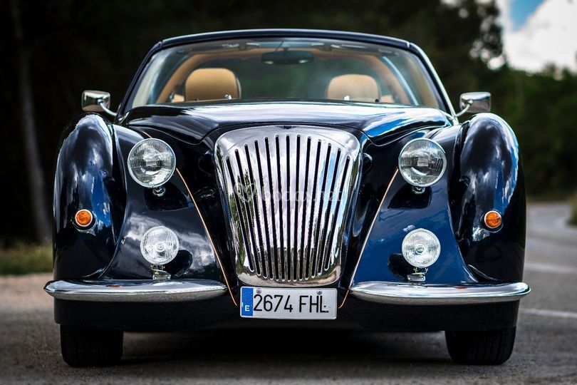 Chic Cars