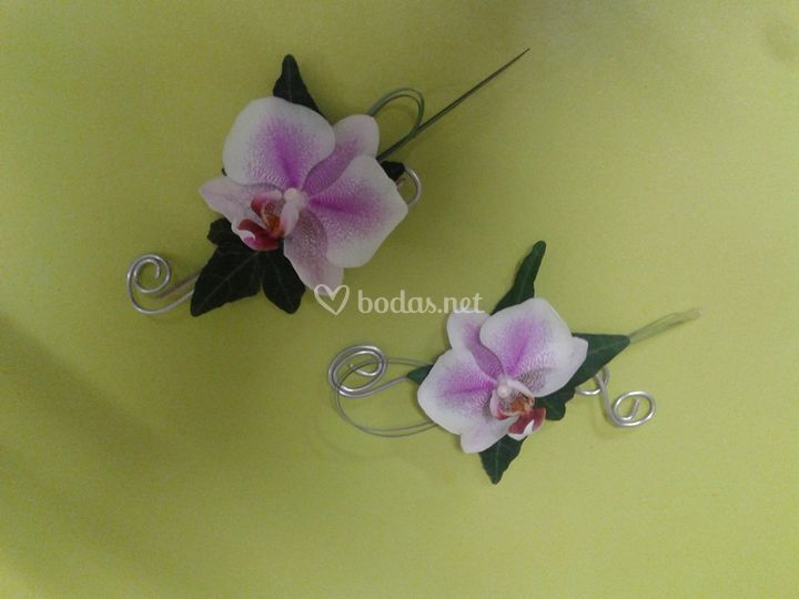 Floristeria TaideFlor