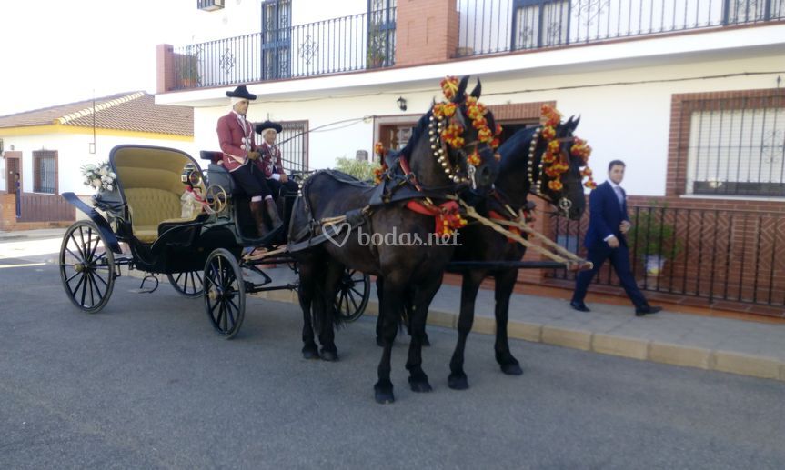 Picadero Curro Jiménez - Coche de caballos