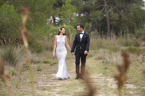 Wedding Memories