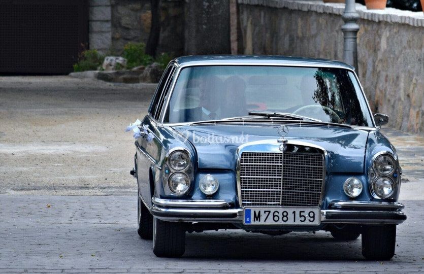 Lovely Cars