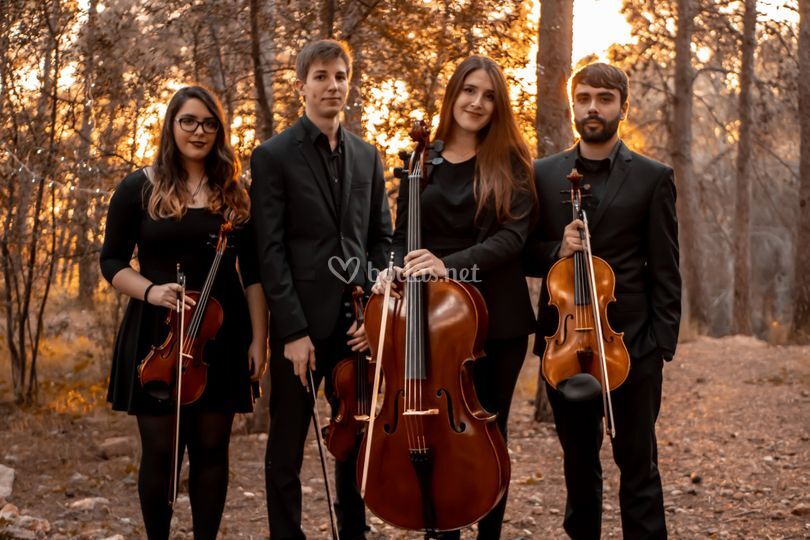 Cuarteto Góngora