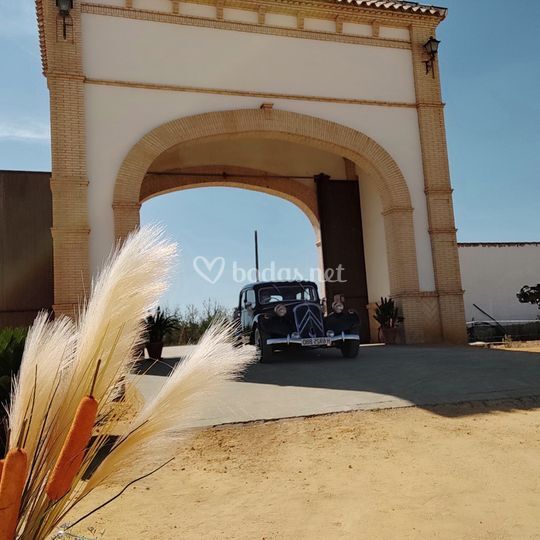 La Yeguada
