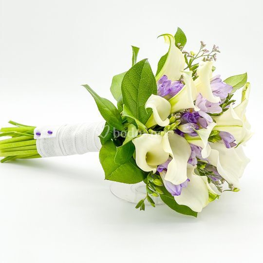 Flor de Romero