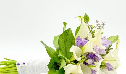 Flor de Romero