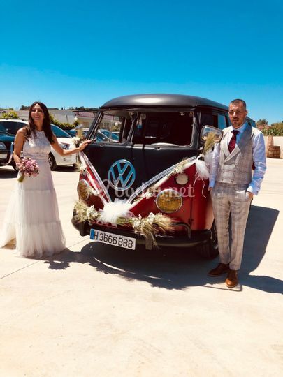 VW Kombis