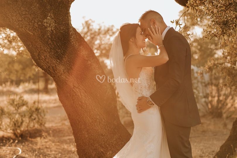 Retama Fotografía