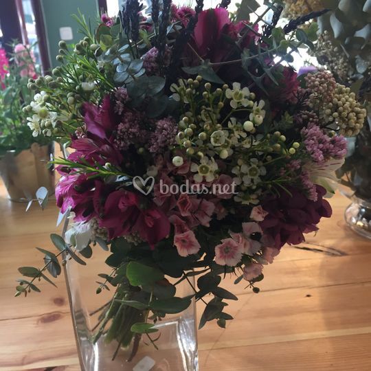 Brünia Floral