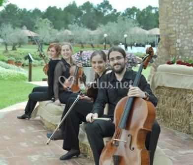 Quartet Intimae