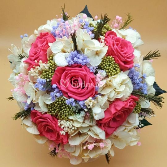 Floristería Amazonia