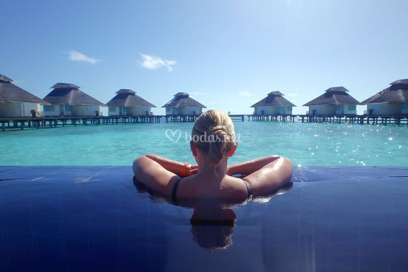 Camaleon Travel
