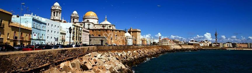 Lisor Travel