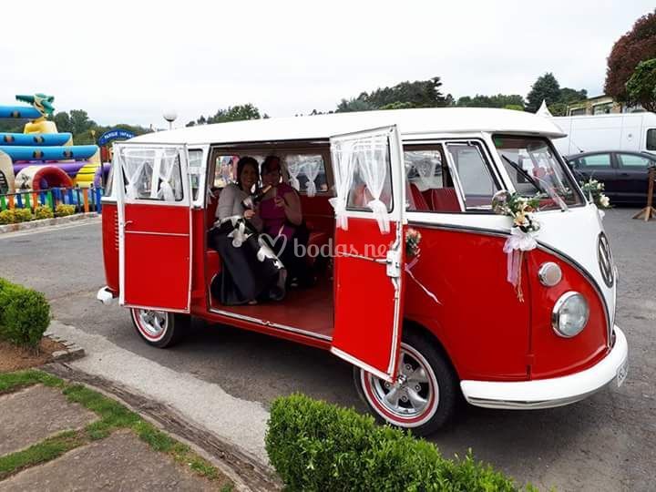 Frank - Volkswagen T1