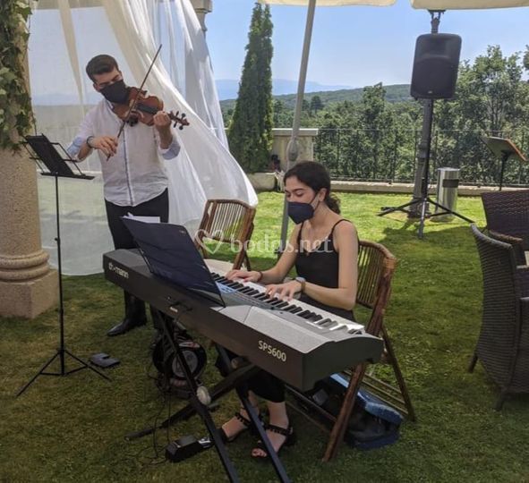 MusiBo