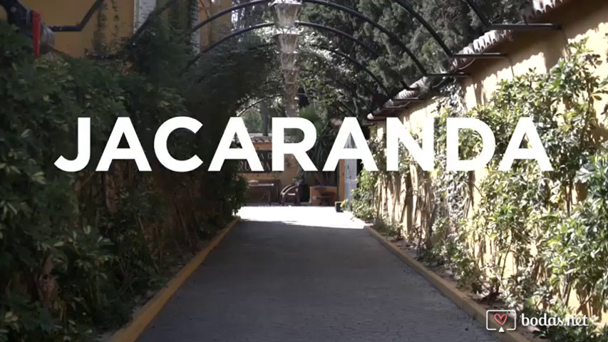 Salón Jacaranda 