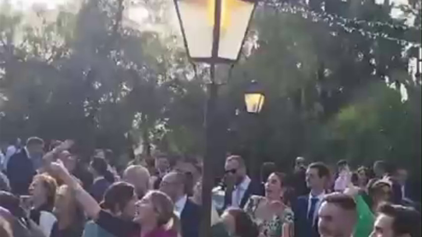Boda José Antonio & David 