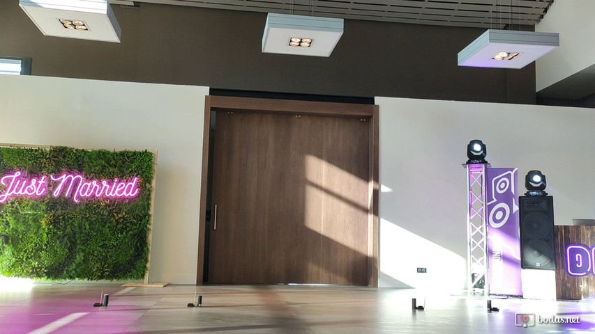 Entrada de los novios
