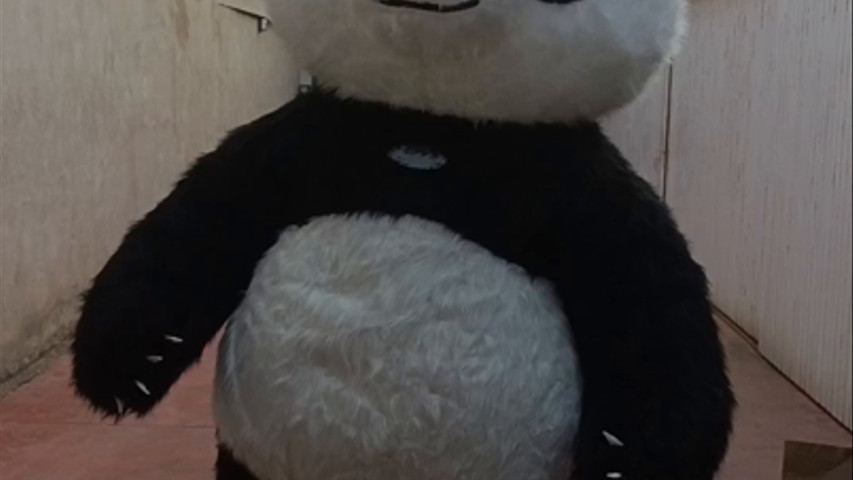 Oso gigante, estreno para las bodas 2024
