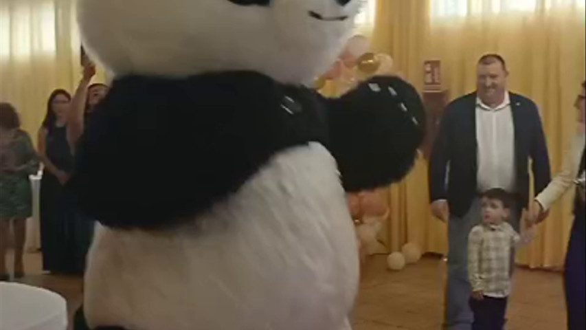 Oso gigante Kokitos 