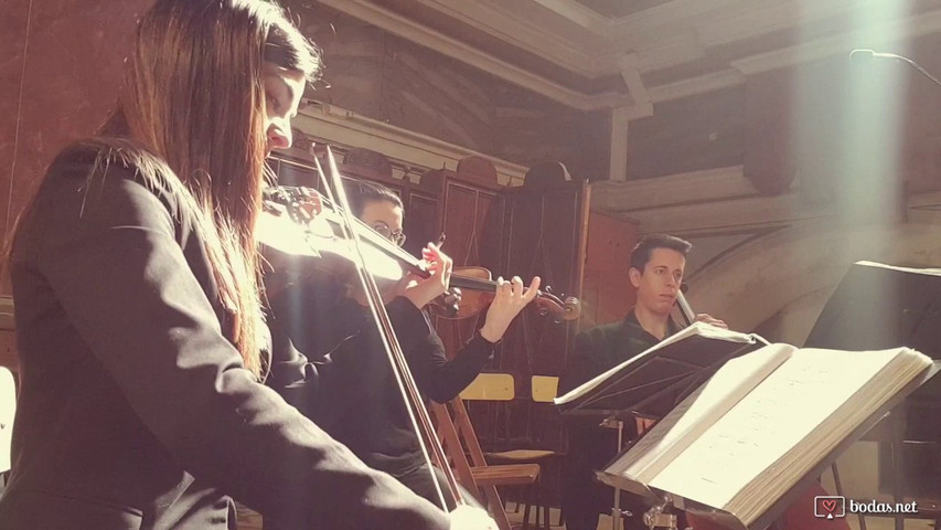 Perfect - Ed Sheeran