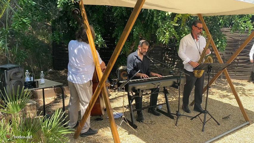 Cocktail Jardin de Sal (El Palmar)
