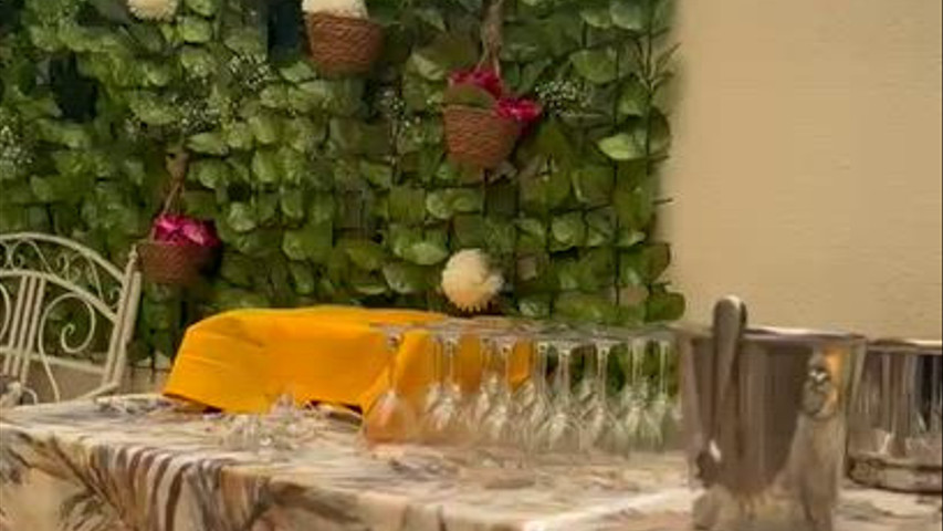 Copa de Bienvenida