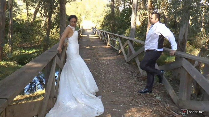 Postboda de Aaron y Dina 