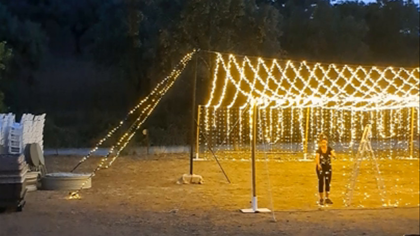 MONTAGE CARPA