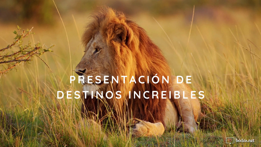 Estas listo para lo que tenemos preparado para ti?