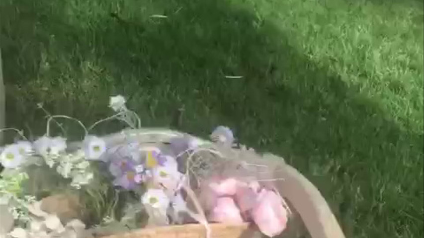 Todo preparado