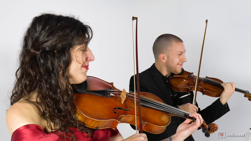 Canon en Re Mayor de Pachelbel 