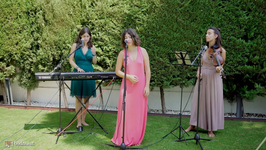 Dalias Band