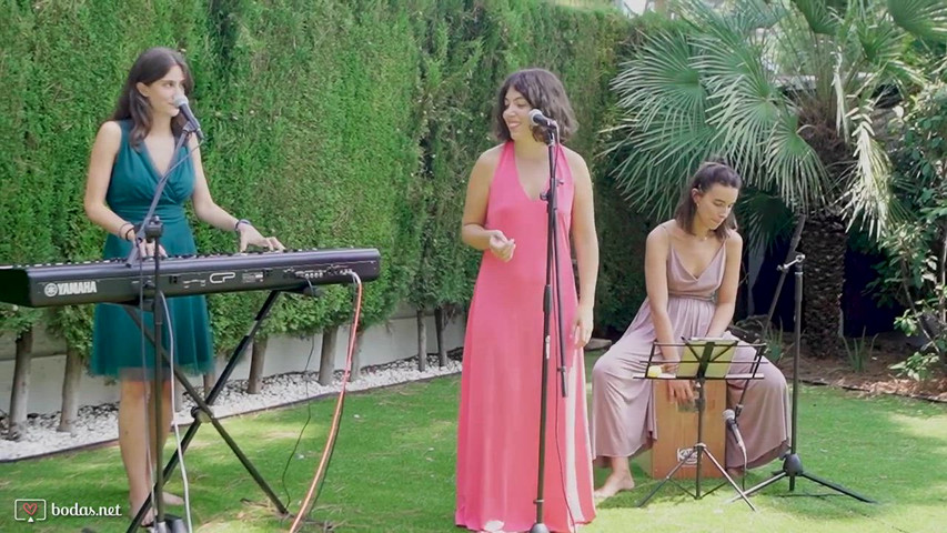 Dalias Band