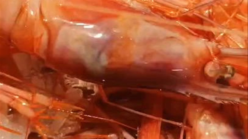Arroz de Gamba de Palamos